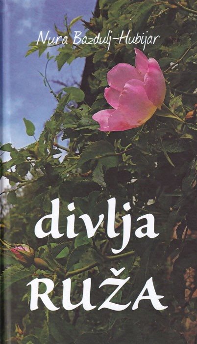 Divlja ruža