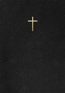 Bibel 2000 : Svart Konstskinn