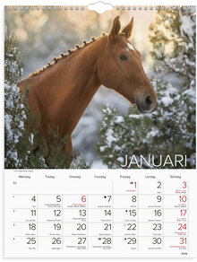 Väggkalender 2027 Stora Hästkalendern