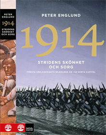 Stridens skönhet och sorg 1914 : första världskrigets inledande år i 68 korta kapitel